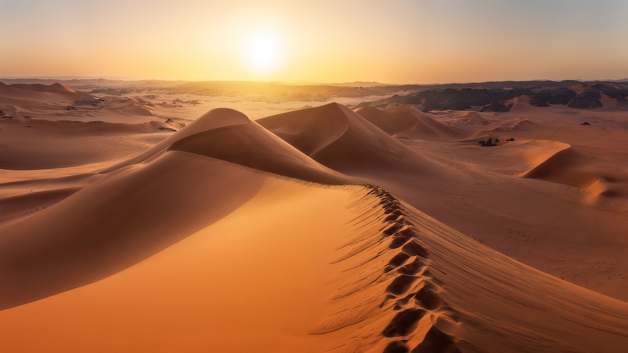 Image for The Sahara: A Hidden Gem in Africa