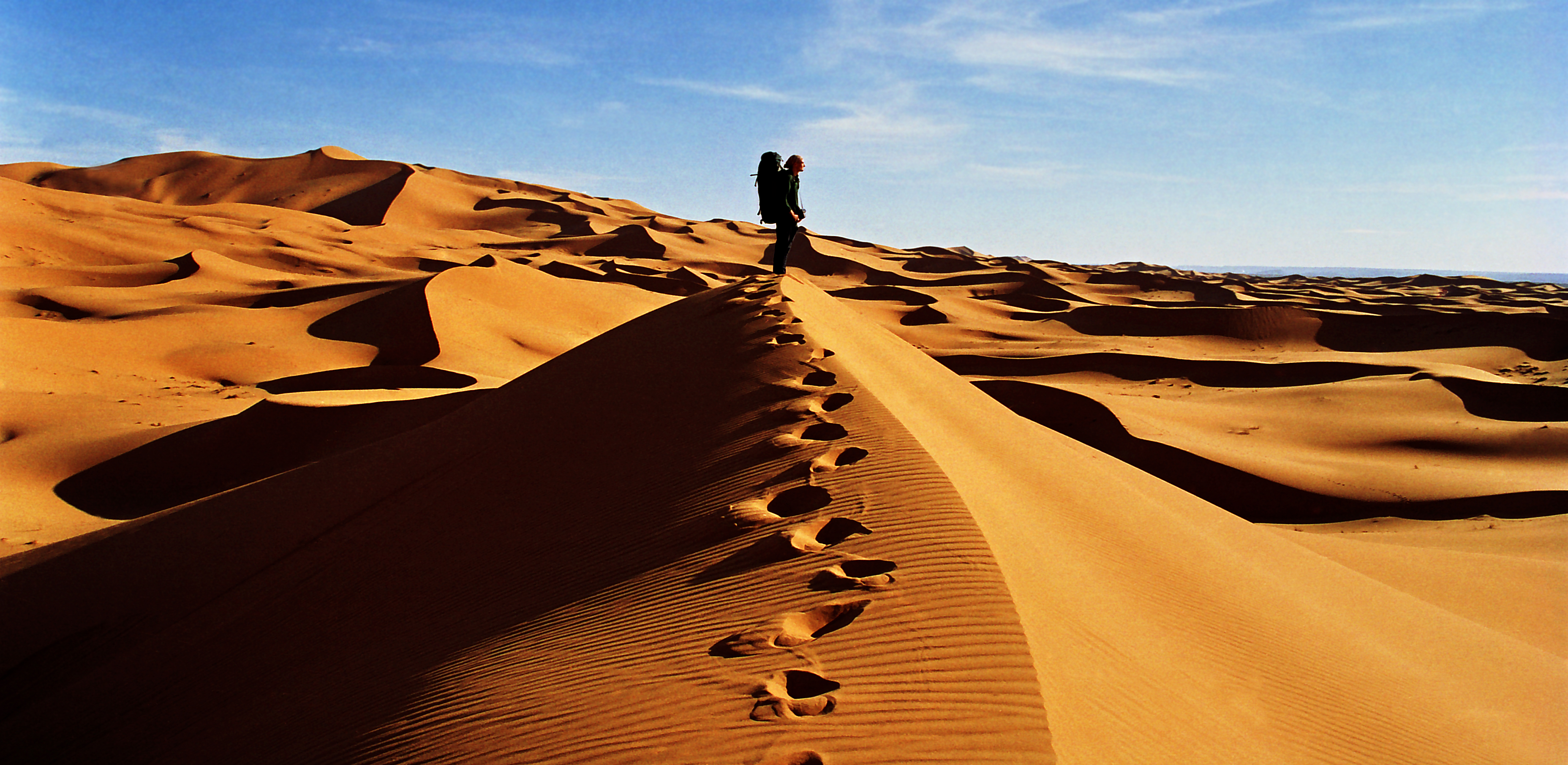 Image for The Sahara: A Hidden Gem in Africa