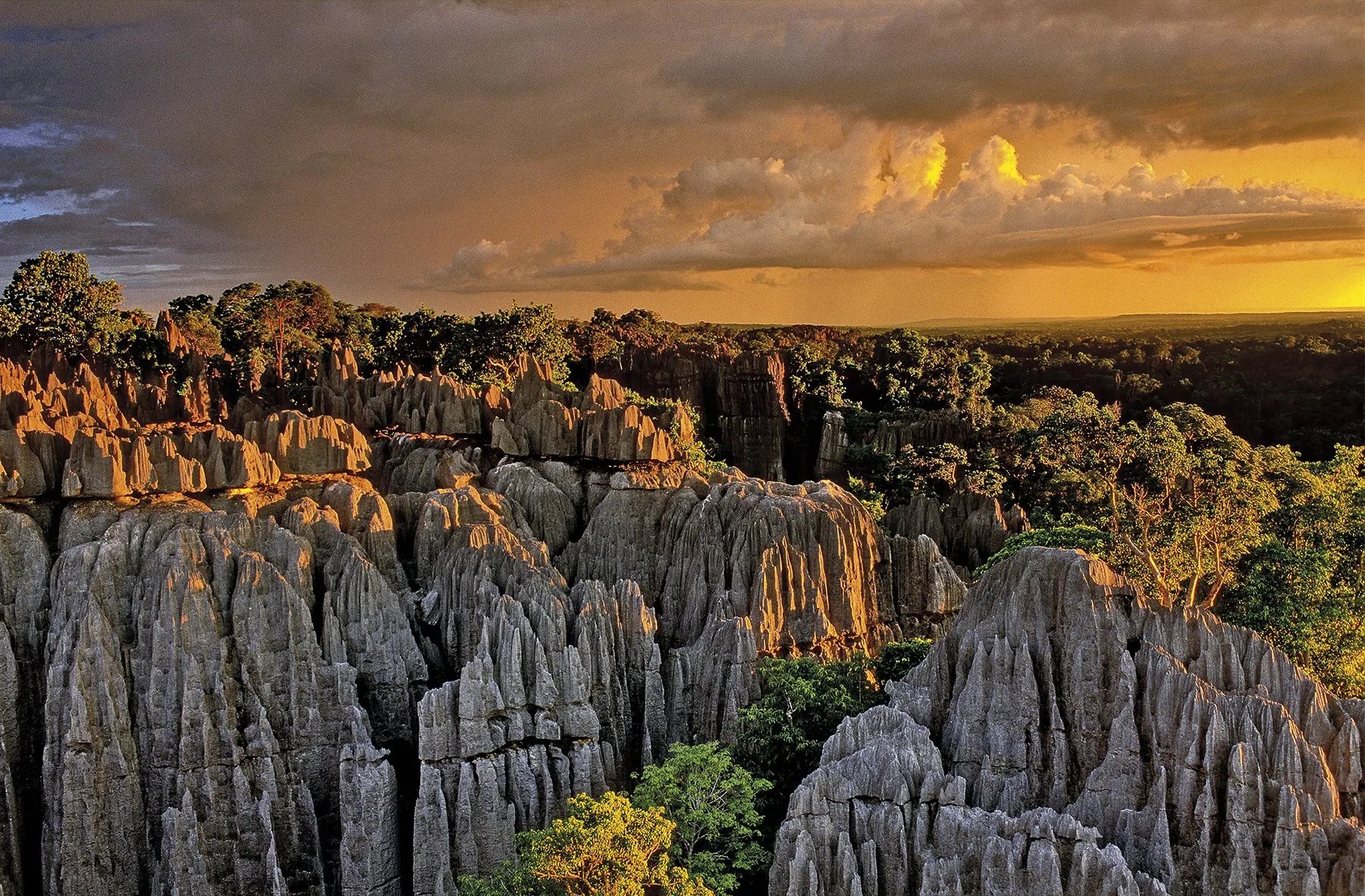Image for Exploring the Unique Tsingy de Bemaraha Nature Reserve in Madagascar