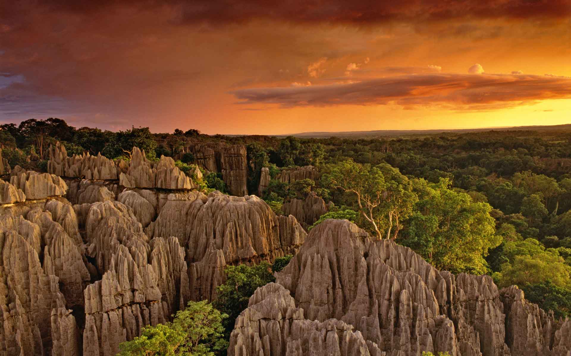 Image for Exploring the Unique Tsingy de Bemaraha Nature Reserve in Madagascar