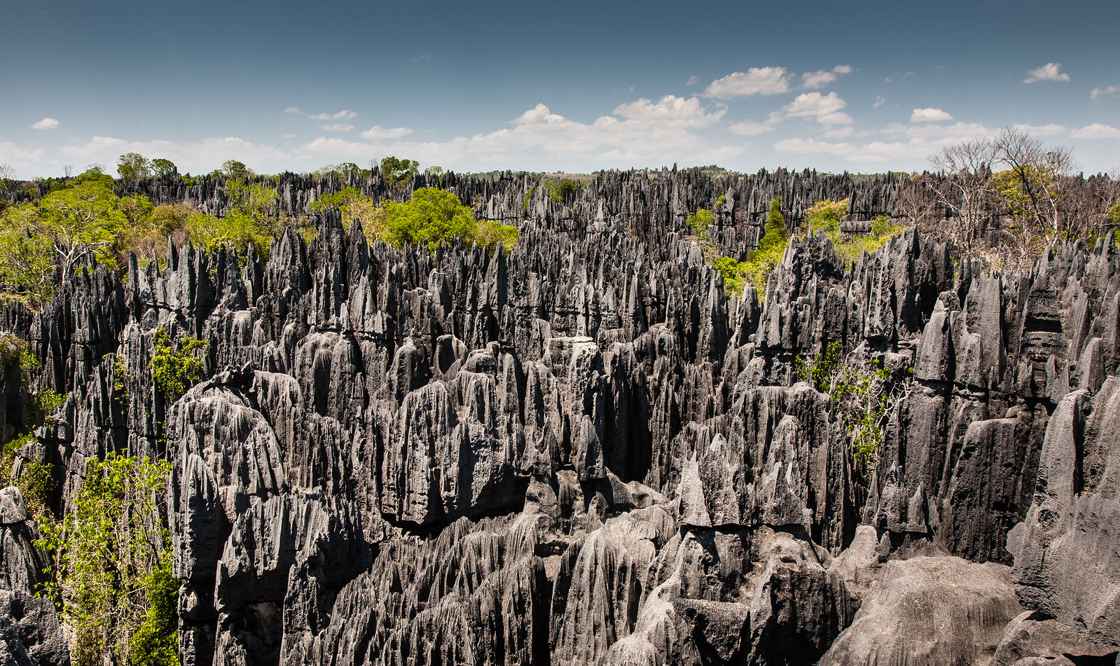 Image for Exploring the Unique Tsingy de Bemaraha Nature Reserve in Madagascar