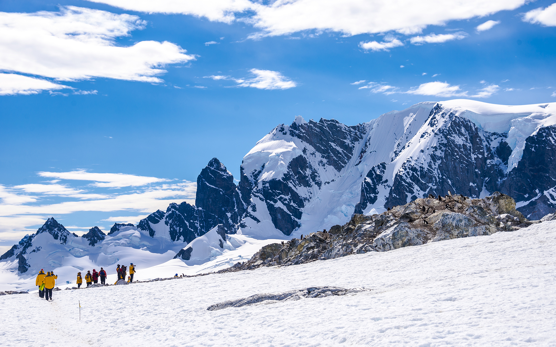Image for Cuverville Island: An Arctic Gem
