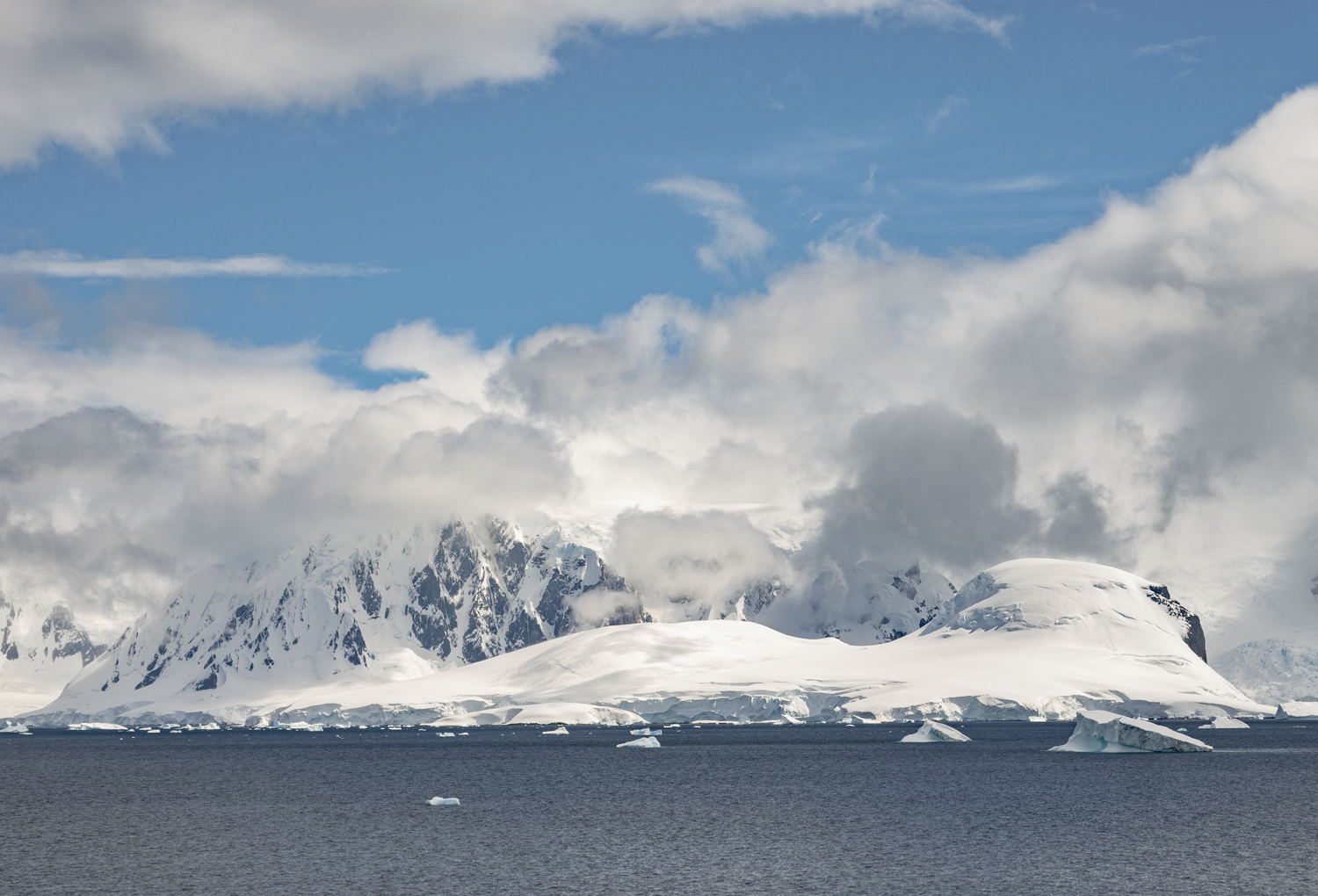 Image for Cuverville Island: An Arctic Gem