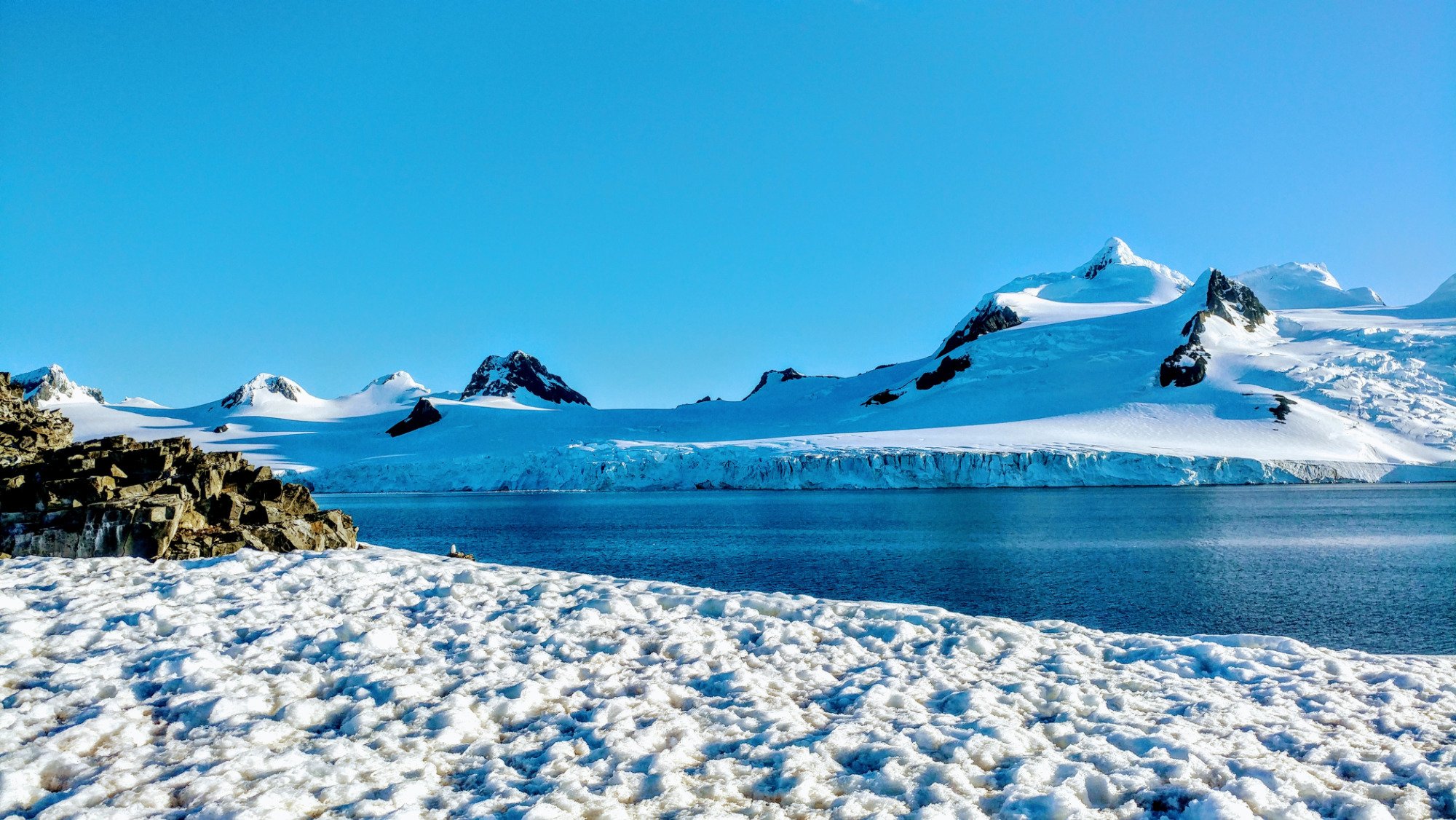 Image for Exploring the Wonders of King George Island in Antarctica