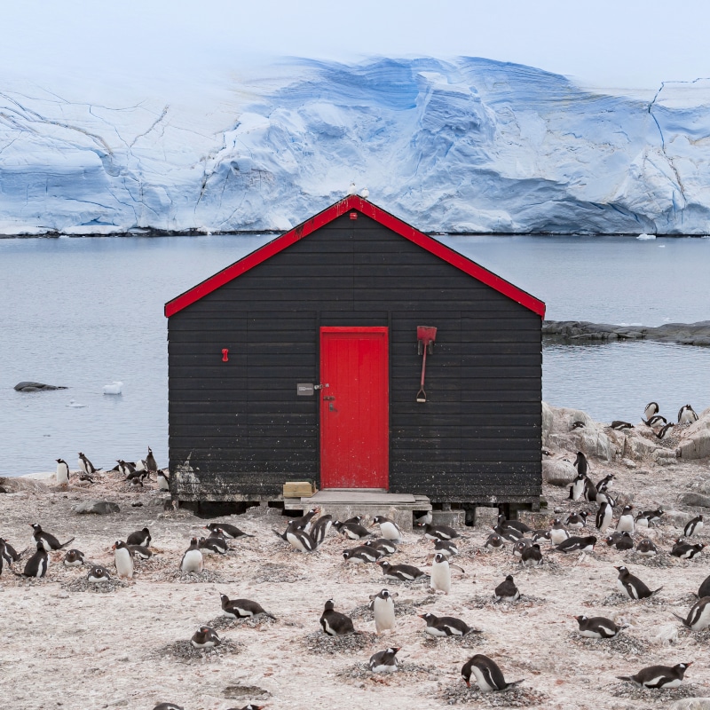 Image for Port Lockroy: An Antarctic Adventure