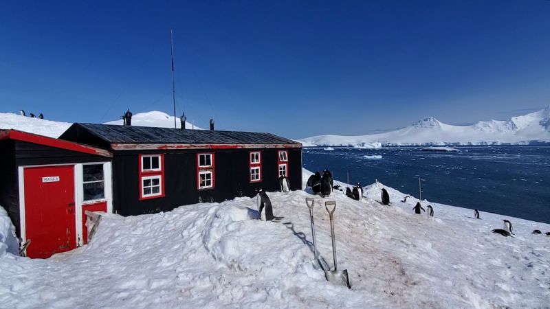 Image for Port Lockroy: An Antarctic Adventure