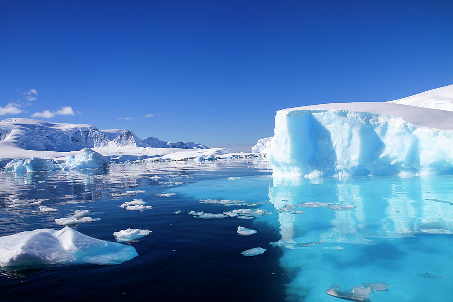 Image for Exploring the Wonders of Wilhelmina Bay on the Antarctic Peninsula