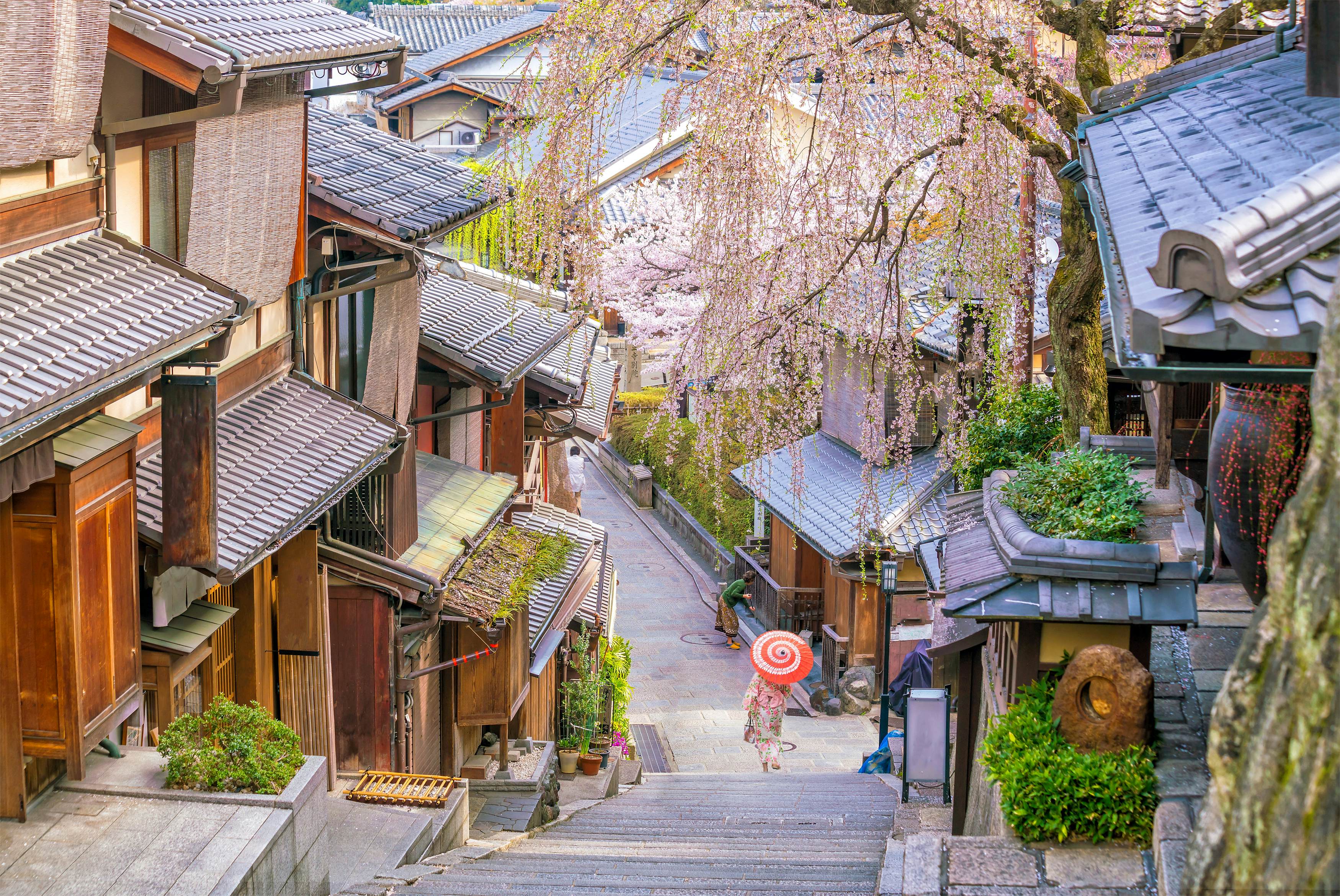 Image for Kyoto: The Cultural Capital of Japan