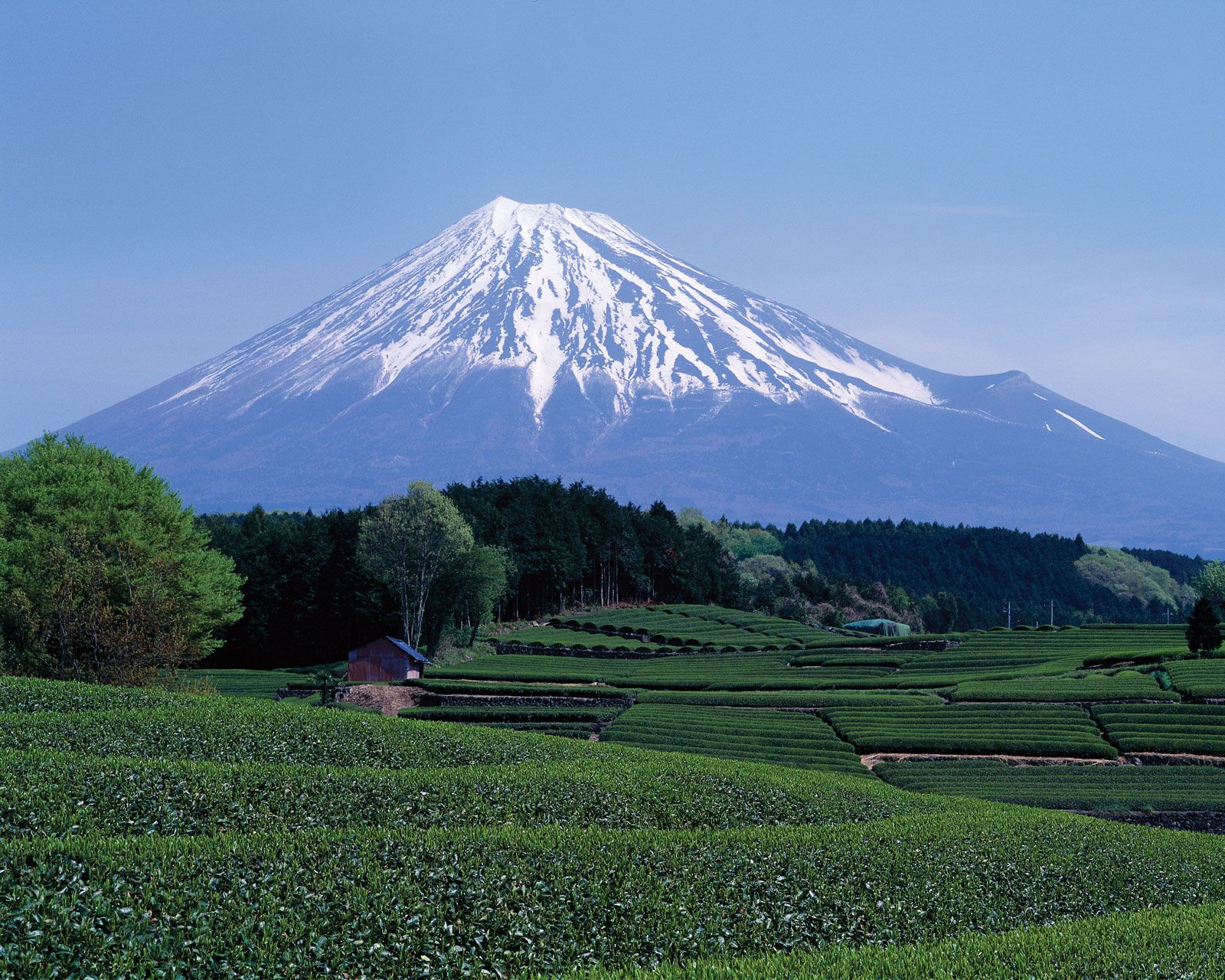 Image for Mount Fuji: An Iconic Volcano