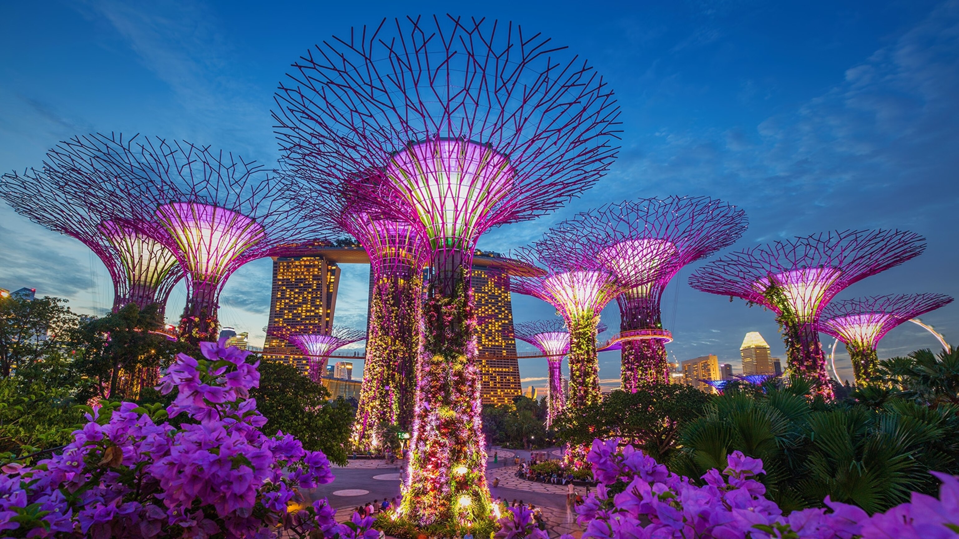 Image for Exploring Singapore: A Unique Blend of Culture and Innovation