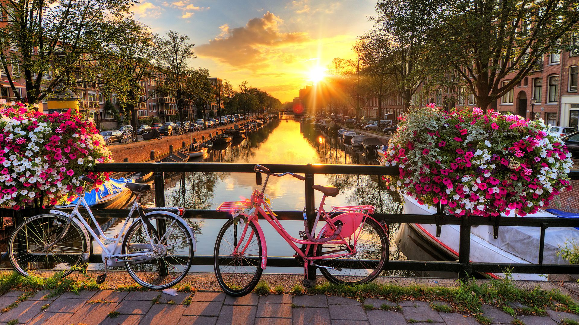 Image for Exploring the Charms of Amsterdam
