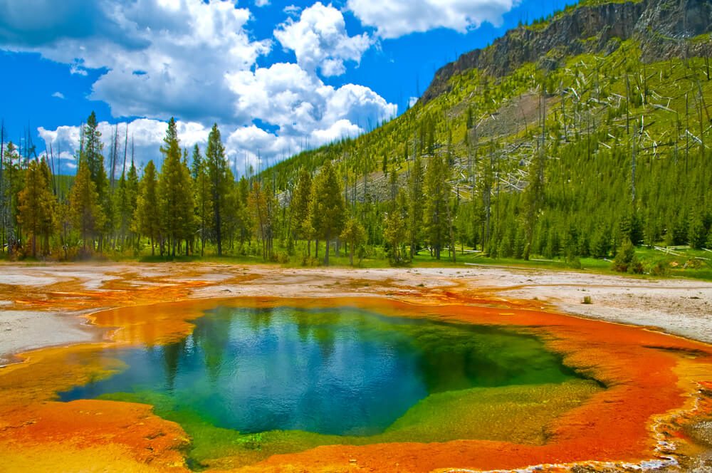 Image for Exploring the Wonders of Yellowstone National Park