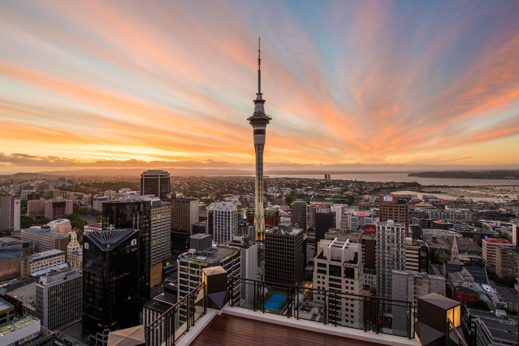 Image for Auckland: A Vibrant Metropolitan City