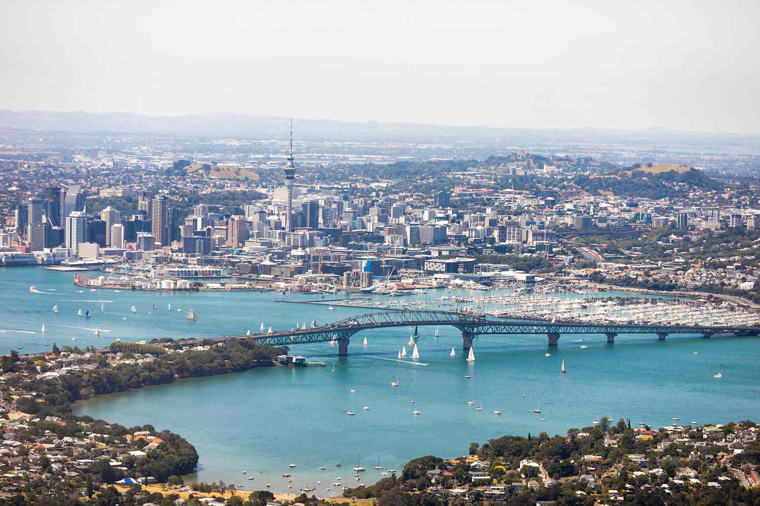 Image for Auckland: A Vibrant Metropolitan City