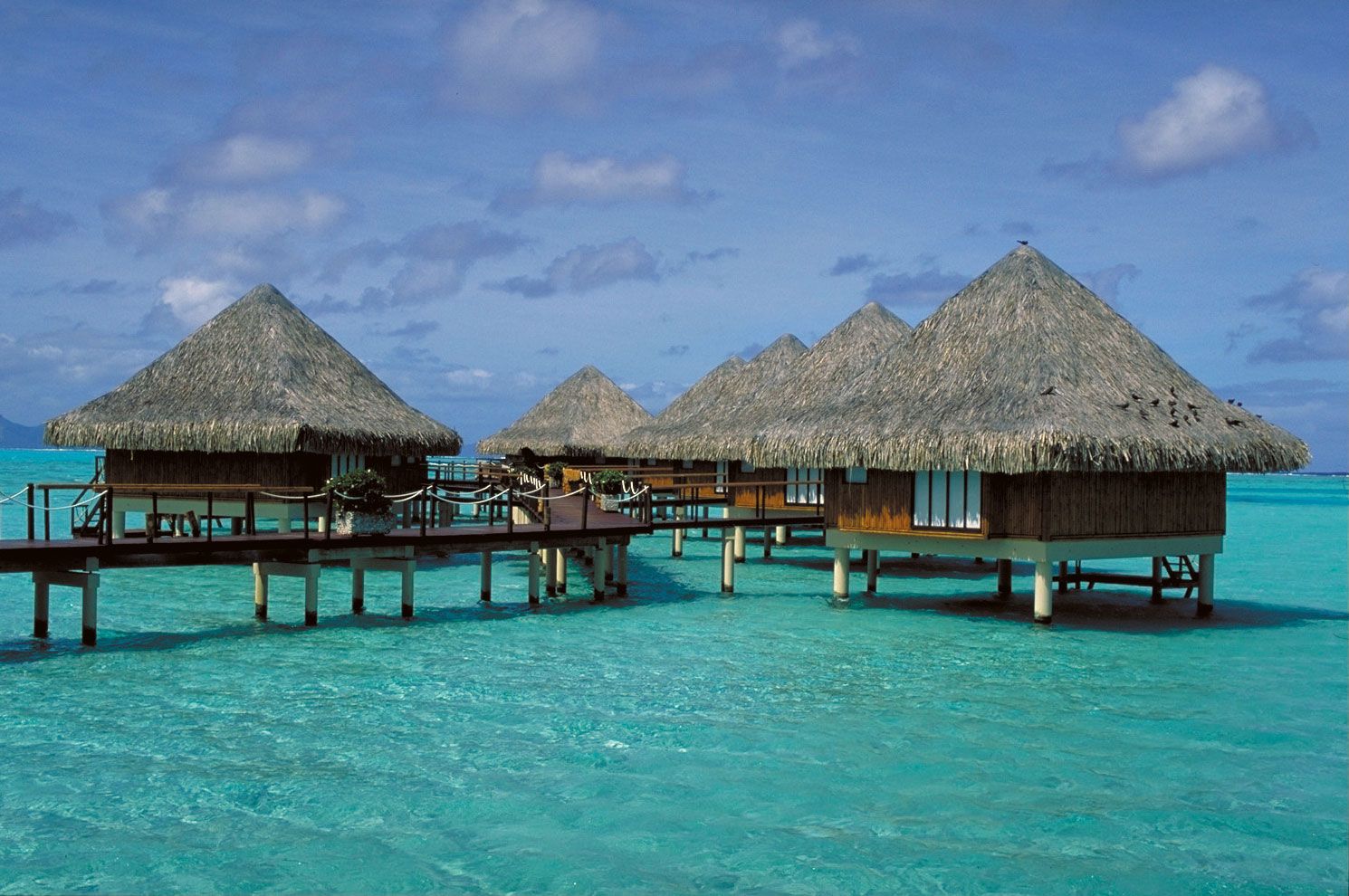 Image for Bora Bora: An Island Paradise