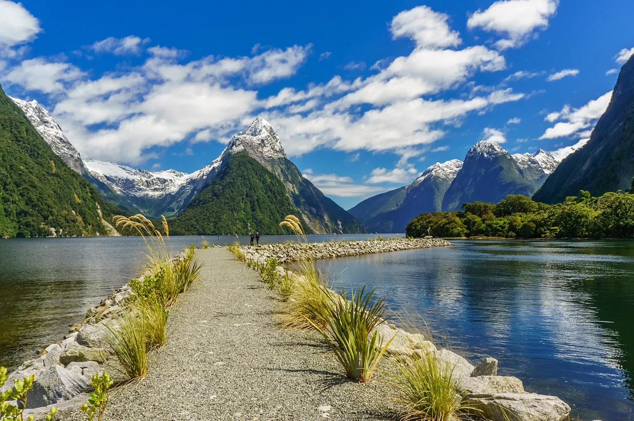 Image for Exploring the Beauty of Milford Sound in New Zealand