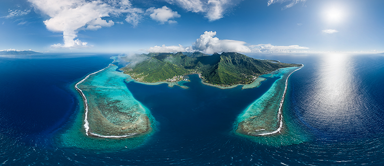 Image for Moorea: The Yellow Lizard Island