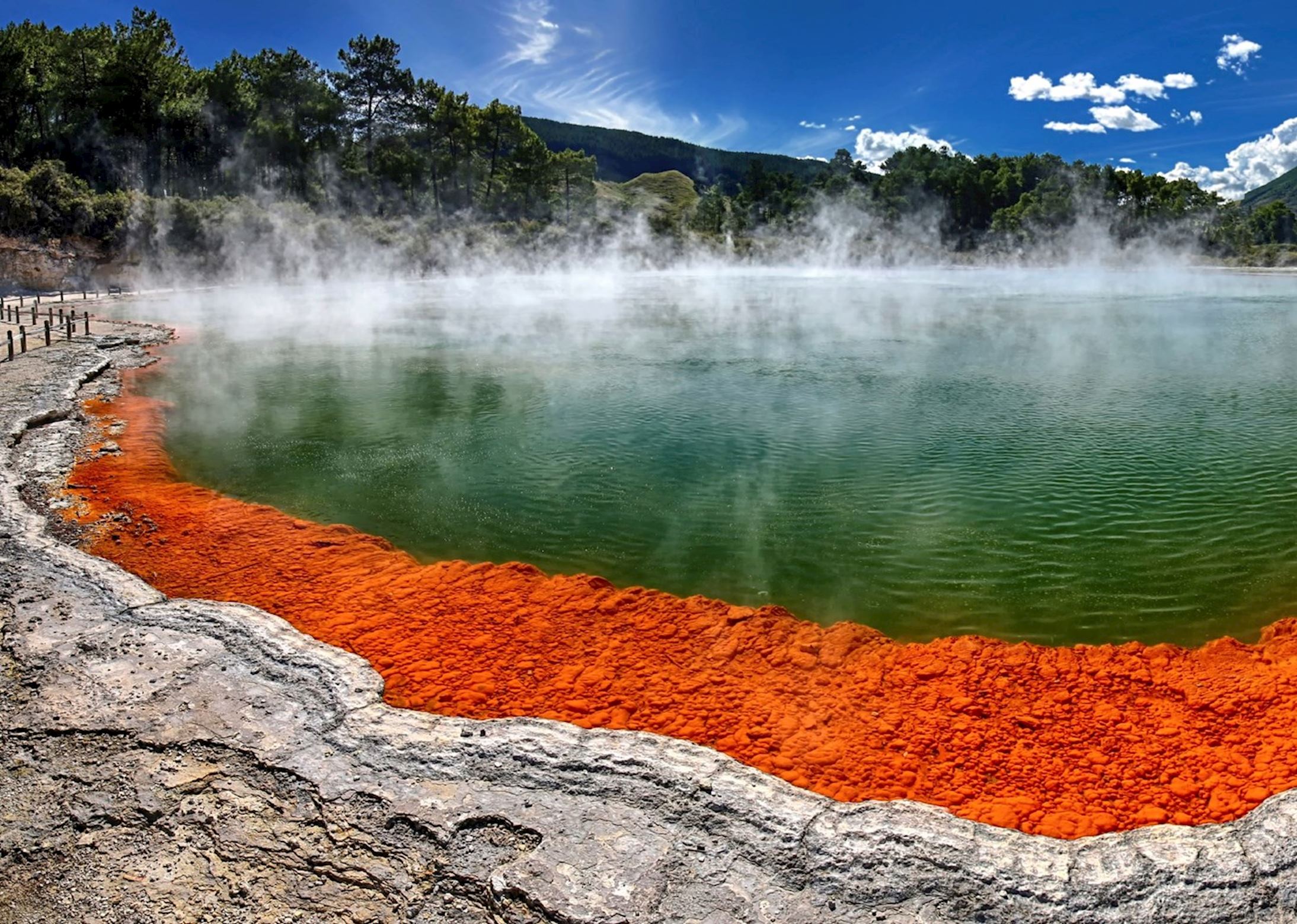 Image for Exploring Rotorua, New Zealand - A Geothermal Wonderland