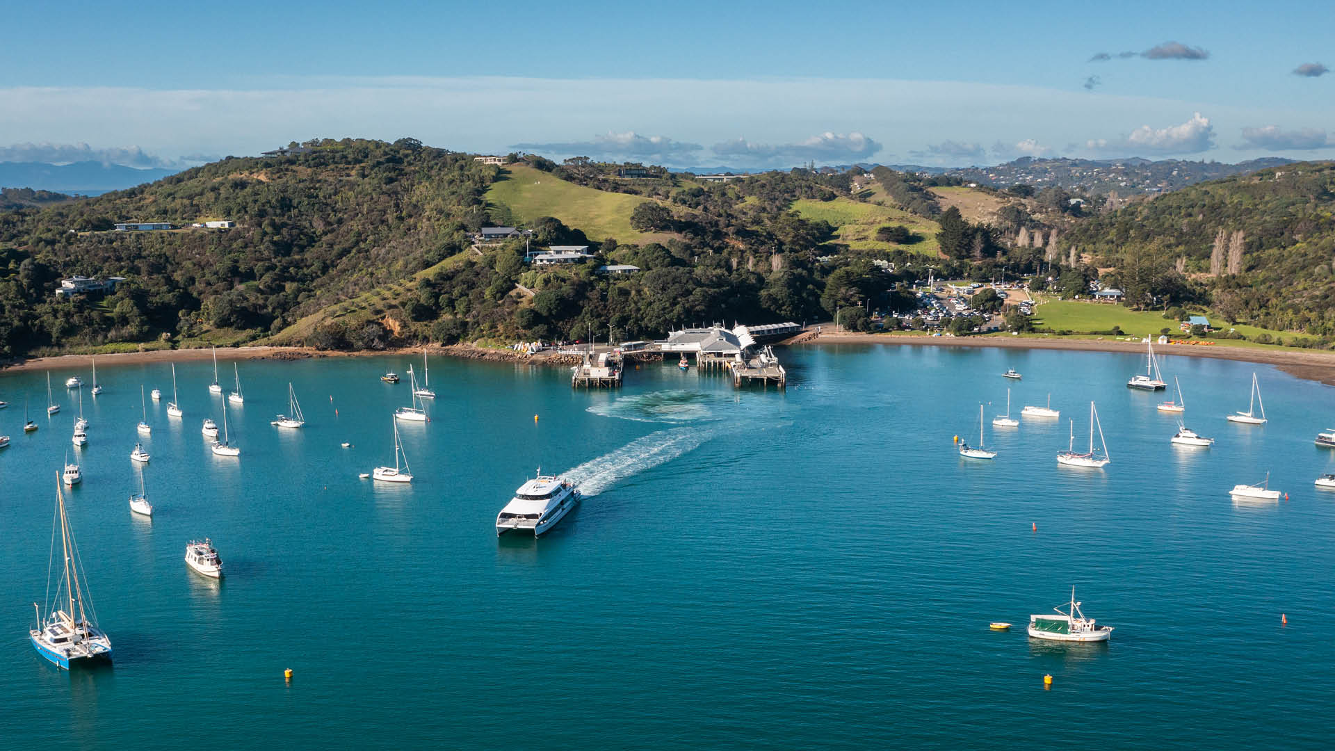 Image for Waiheke Island: A Hidden Gem in New Zealand