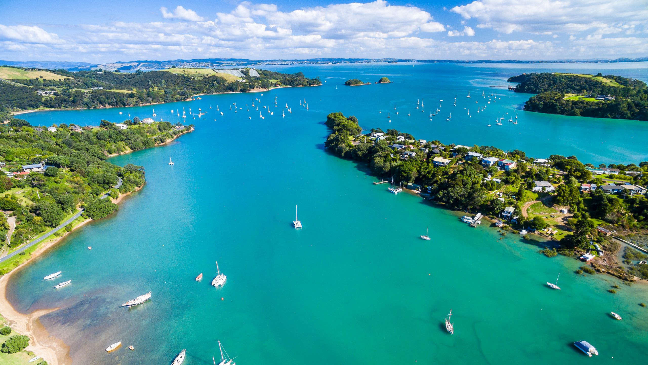 Image for Waiheke Island: A Hidden Gem in New Zealand
